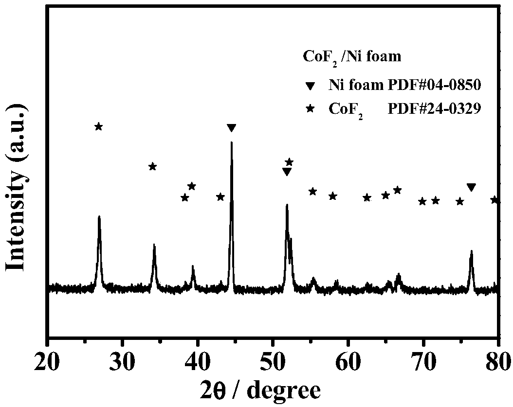 Preparation method of transition metal fluoride