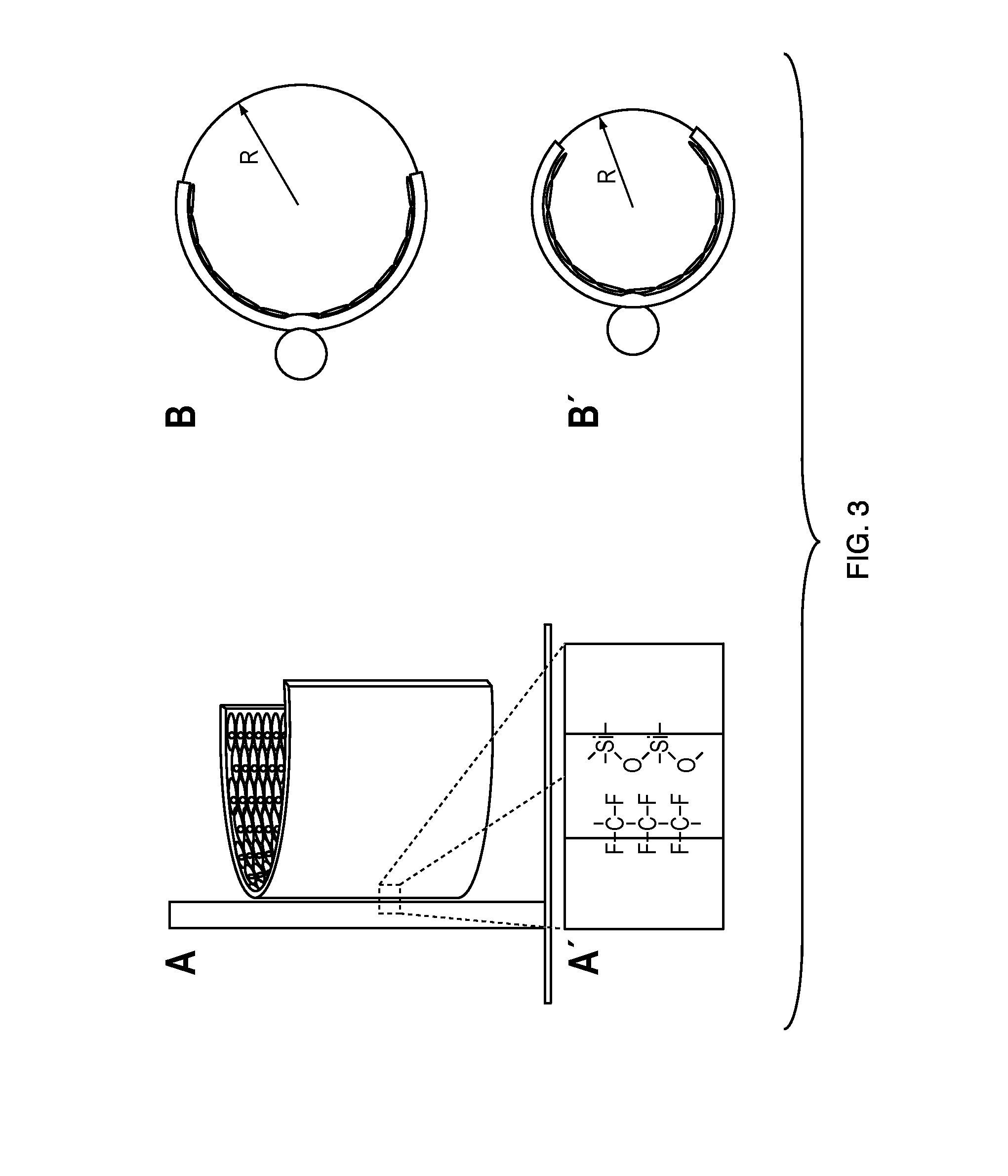 Muscle chips and methods of use thereof