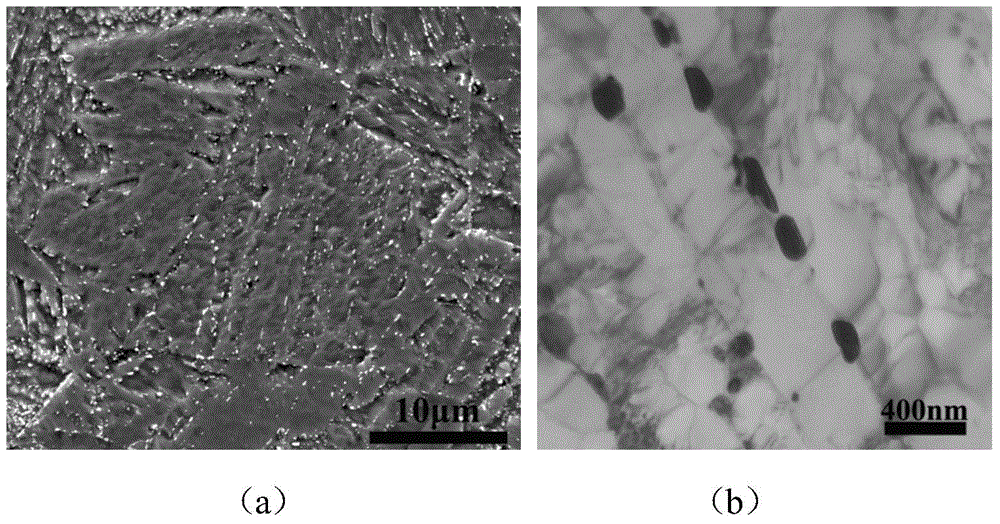 Preparation technique for high-strength and high-plasticity ultra-fine grain low-activity ferrite/martensite steel