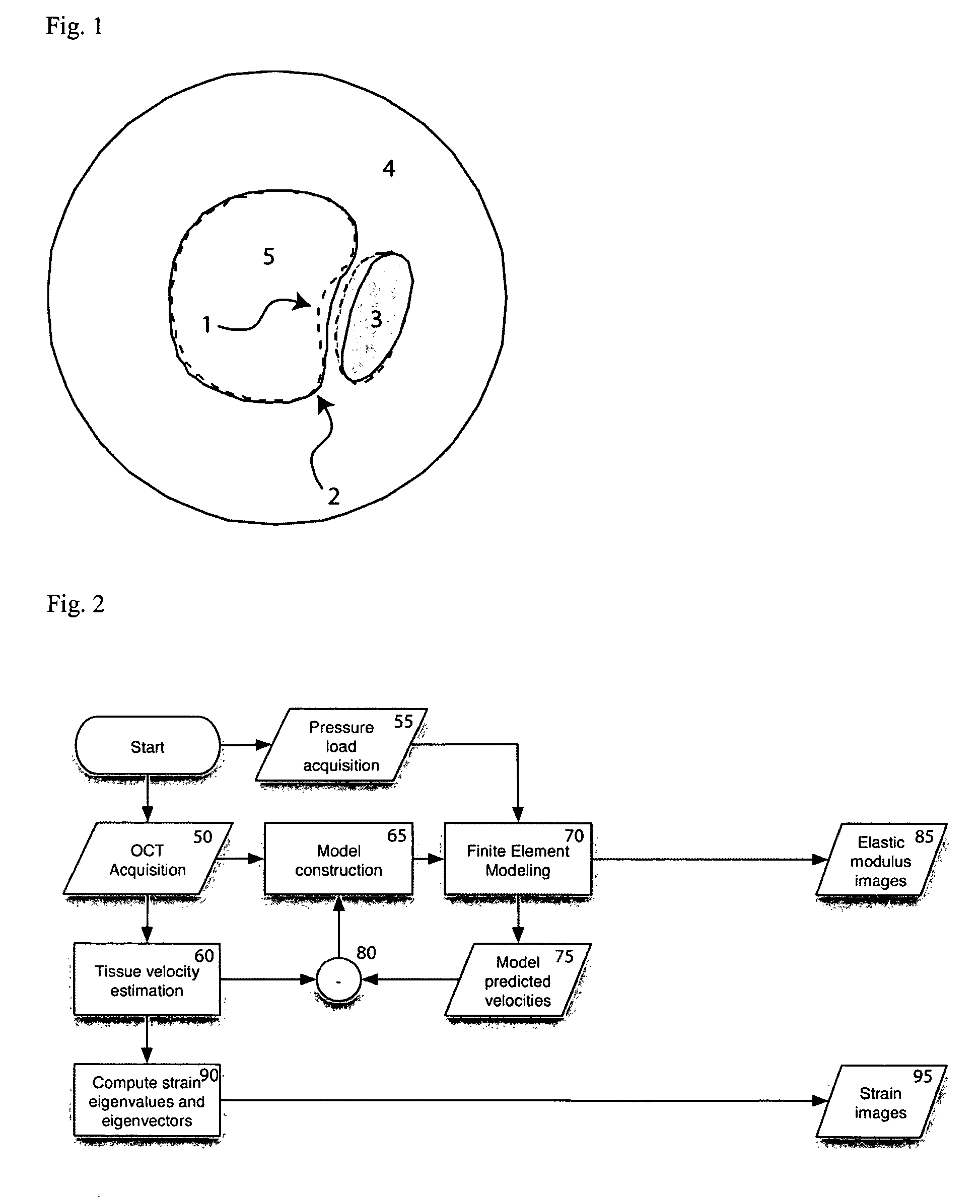 Process, system and software arrangement for measuring a mechanical strain and elastic properties of a sample