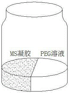 Preparation method and application of PEG culture medium with solid-liquid two phases