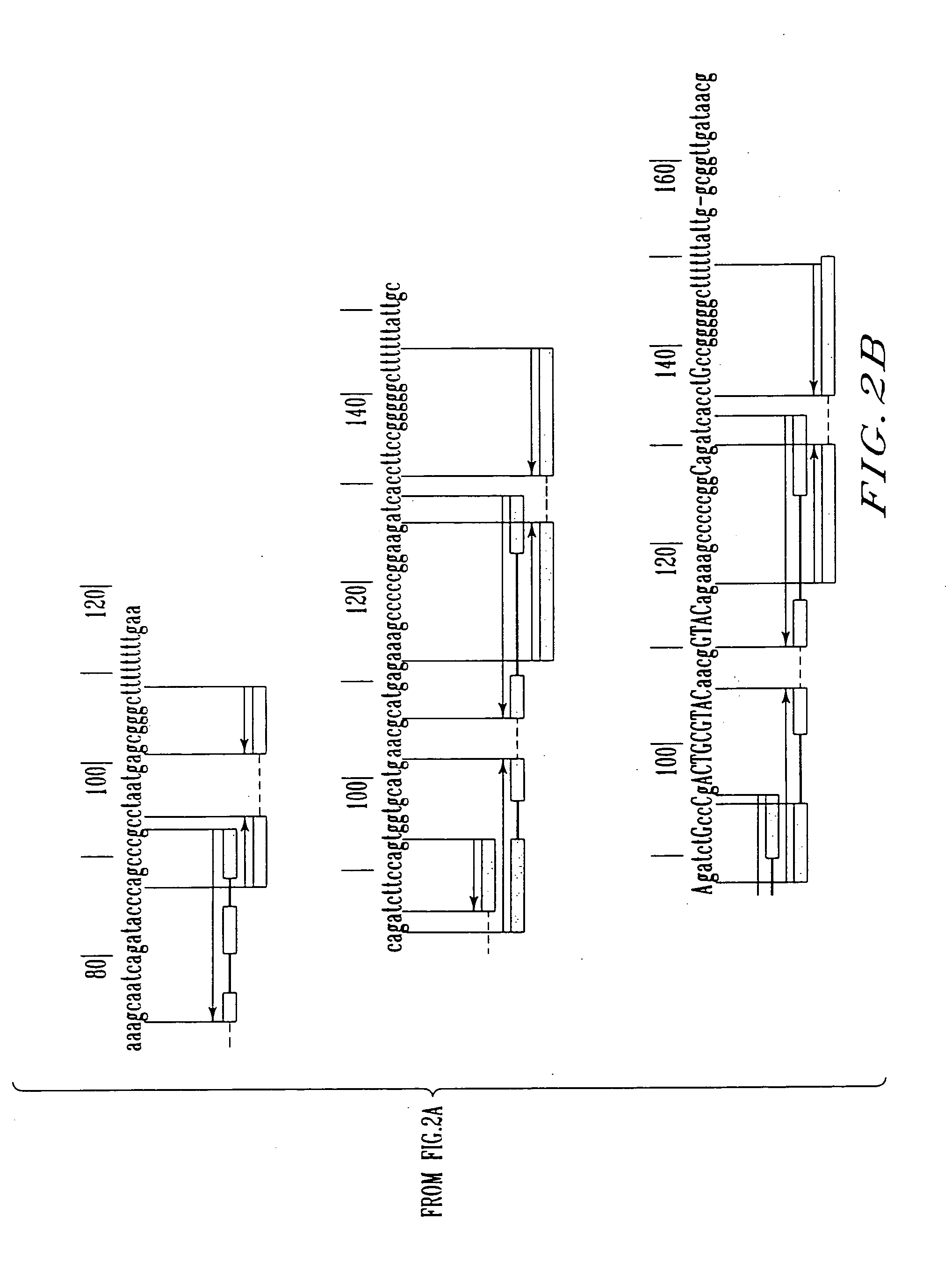 Expression control sequence