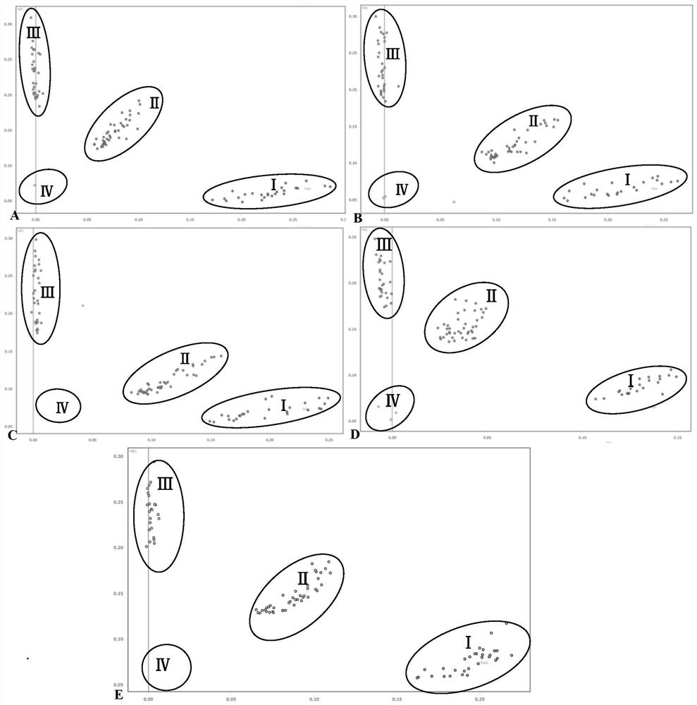 SNP locus combination for detecting tomato verticillium wilt resistance and application thereof