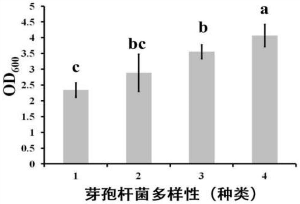 Production of plant growth-promoting compound bacterial agent based on ecological relationship among strains and its application