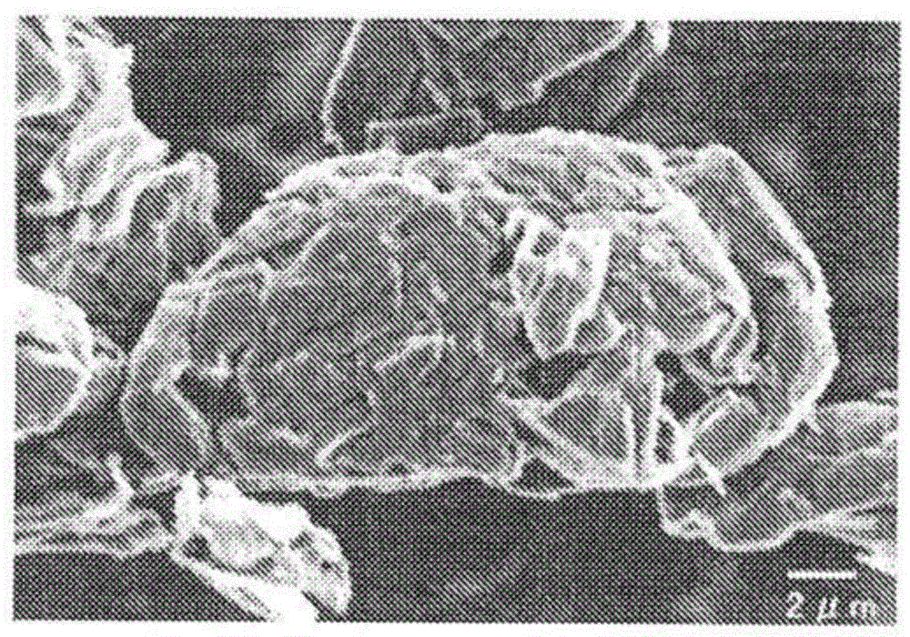 Graphite particle for nonaqueous secondary battery, method for producing same, negative electrode, and nonaqueous secondary battery