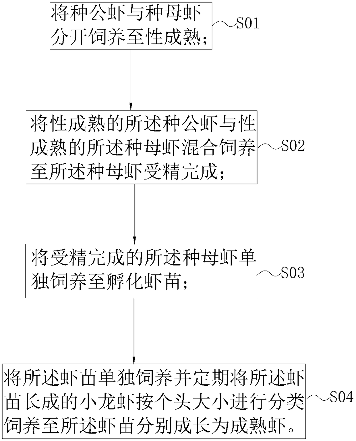 Method for breeding crawfishes