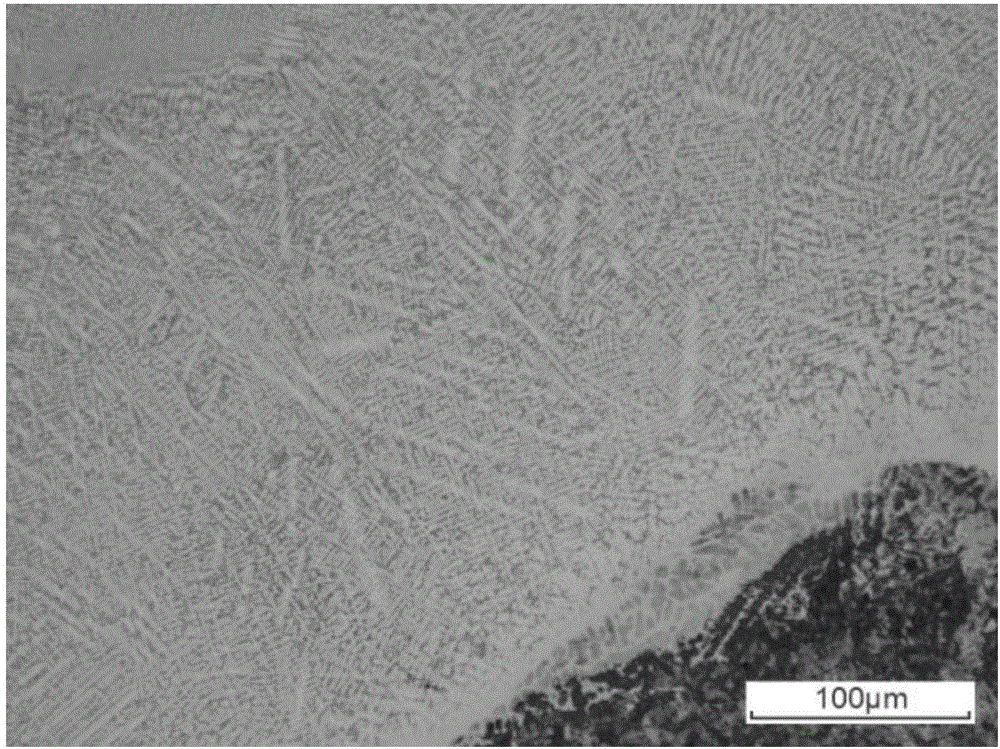 WC/Fe-based argon arc cladding alloy powder