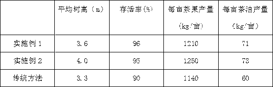 Planting method for camellia oleifera