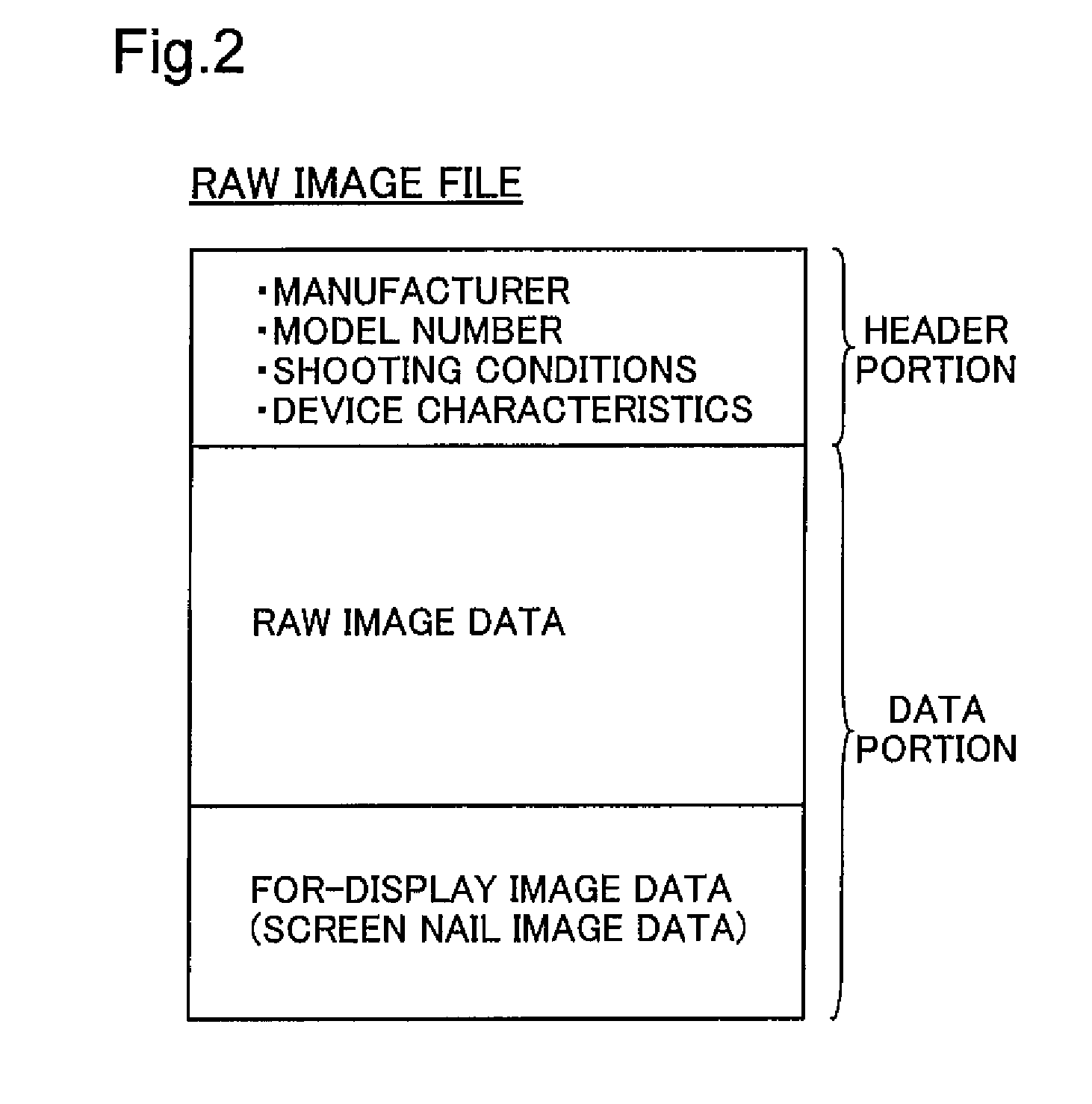 Developing apparatus, developing method and computer program for developing processing for an undeveloped image