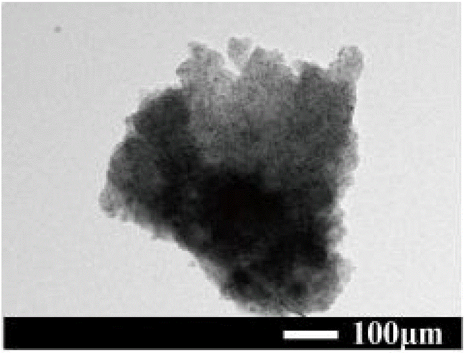 Chitosan magnetic composite spherule adsorbent with core-brush structure as well as preparation method and application thereof