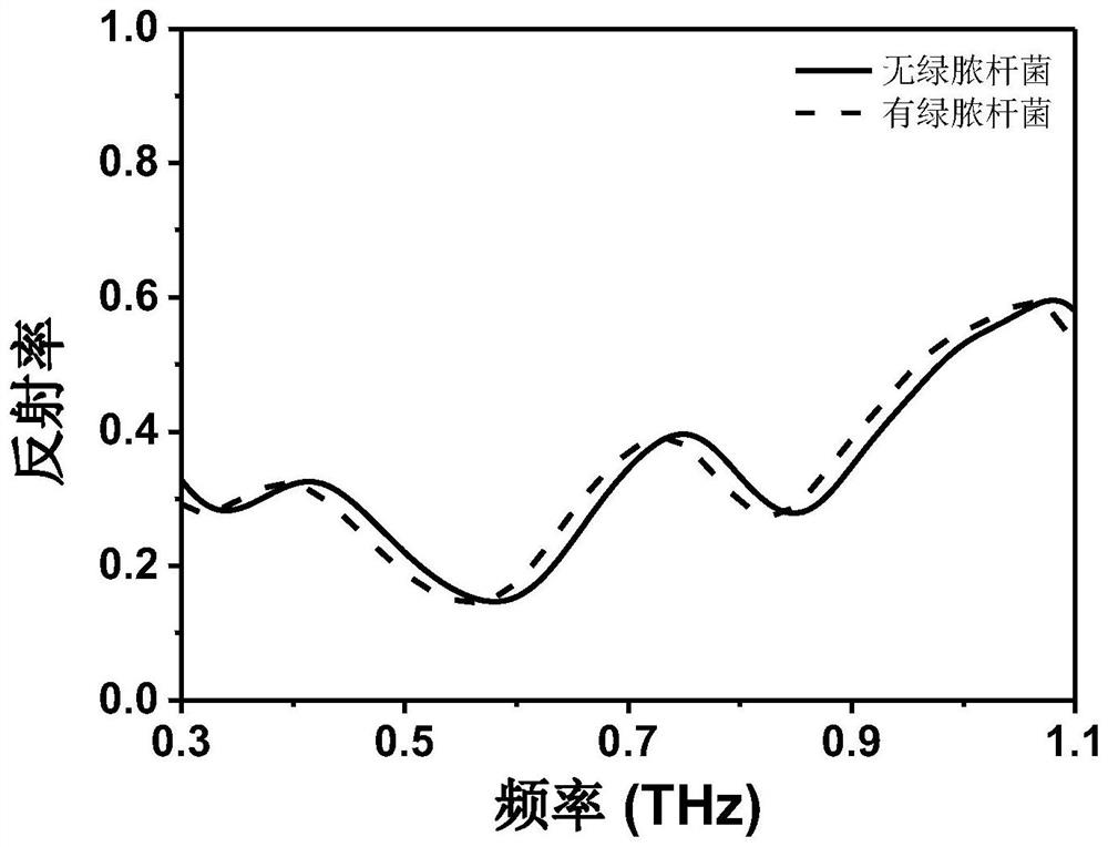 Packaging material for nondestructive testing of quality of agricultural products and food, preparation method thereof and detection method