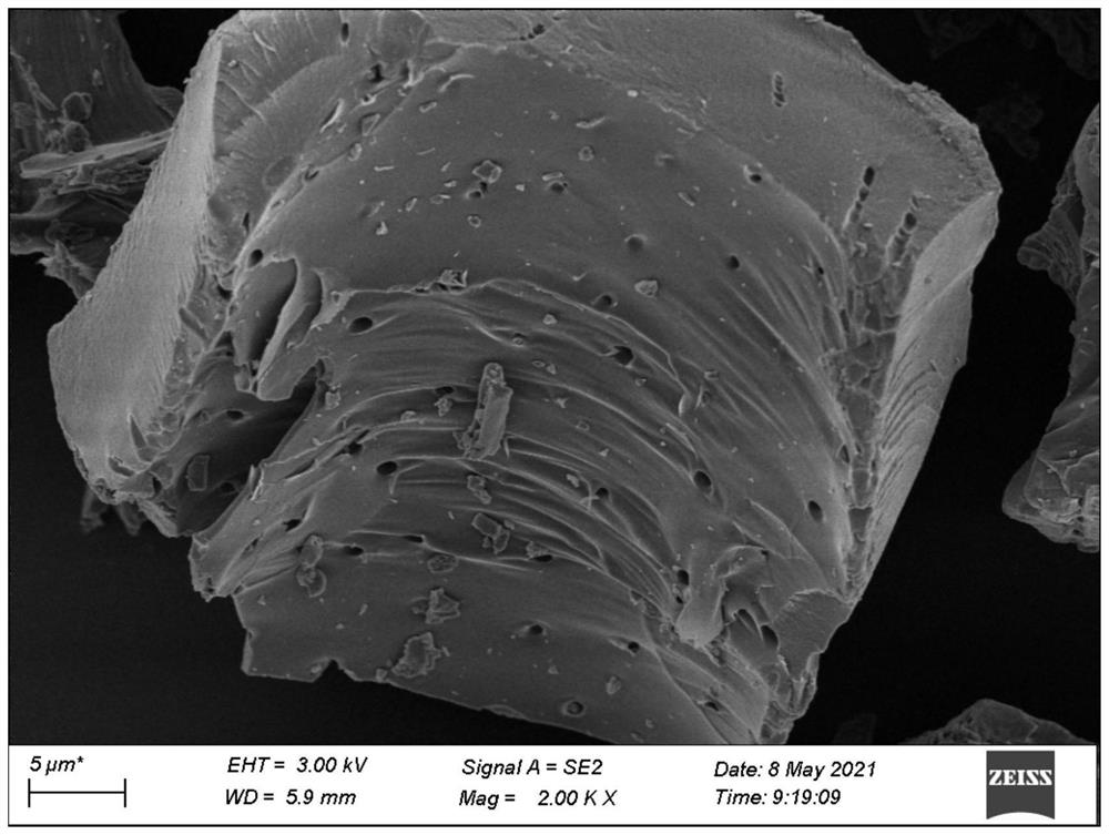 Preparation method and application of tea seed shell biochar