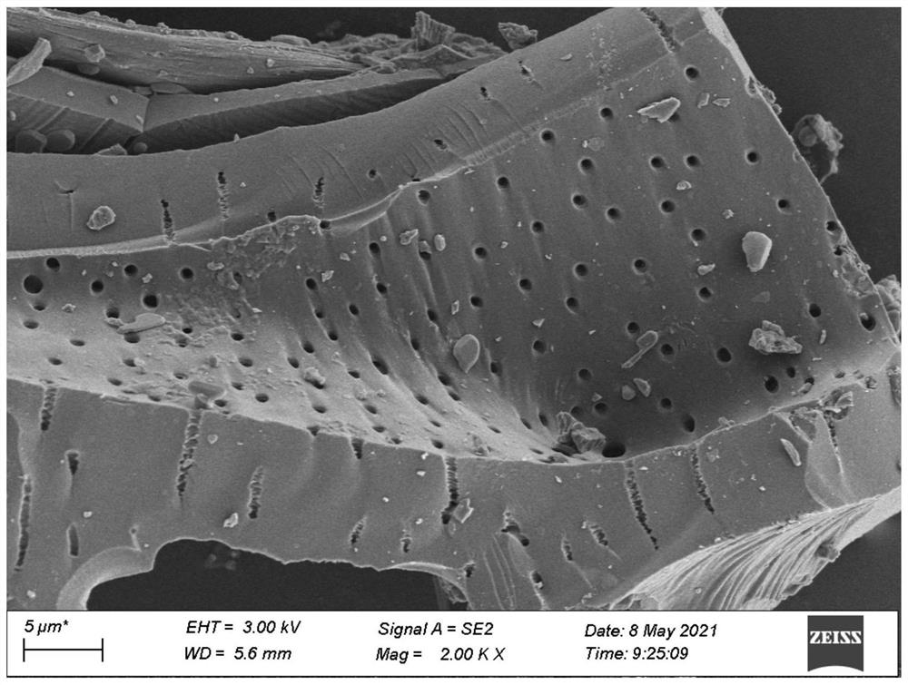 Preparation method and application of tea seed shell biochar