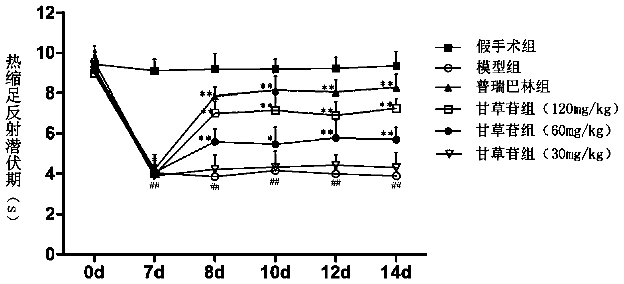 Pharmaceutical use of liquiritin in the treatment of neuropathic pain