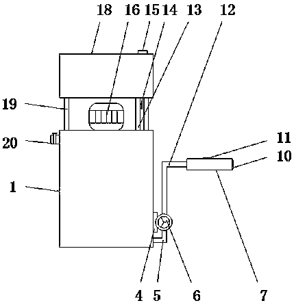 Wig dyeing device with good dyeing effect