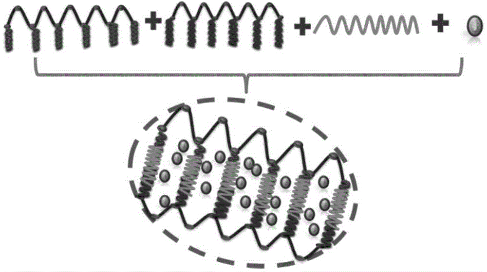 Hydrogel based on aptamer linking and preparation method and application thereof