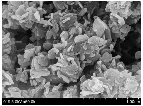 Preparation method of mesoporous carbon nanosheet and application of mesoporous carbon nanosheet as electrode material of super capacitor