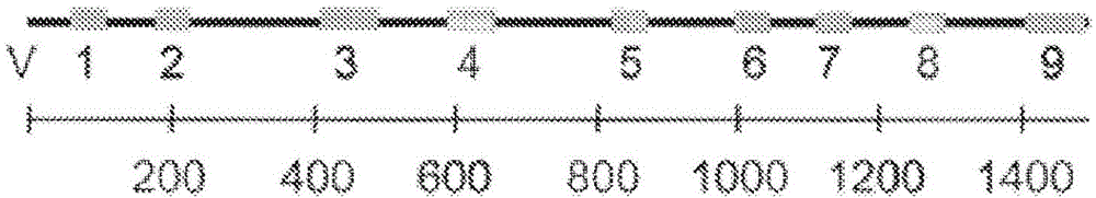 Synergistic bacterial compositions and methods of production and use thereof