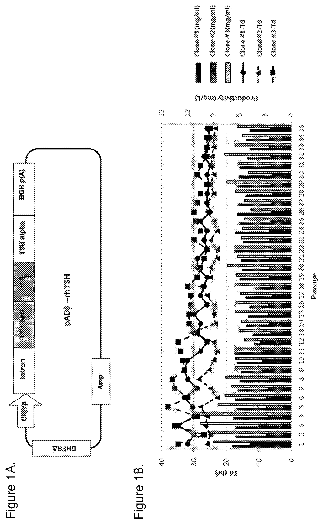 Composition comprising recombinant human thyroid stimulating hormone and method for producing recombinant human thyroid stimulating hormone