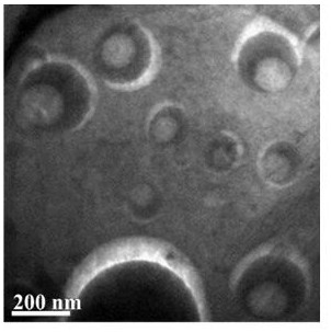 Method for synthesizing Janus nano particles by using Janus nano emulsion as template