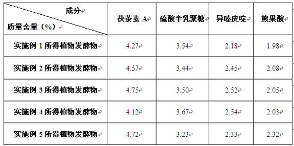 Plant fermentation product with dark circle resisting effect and preparation method thereof