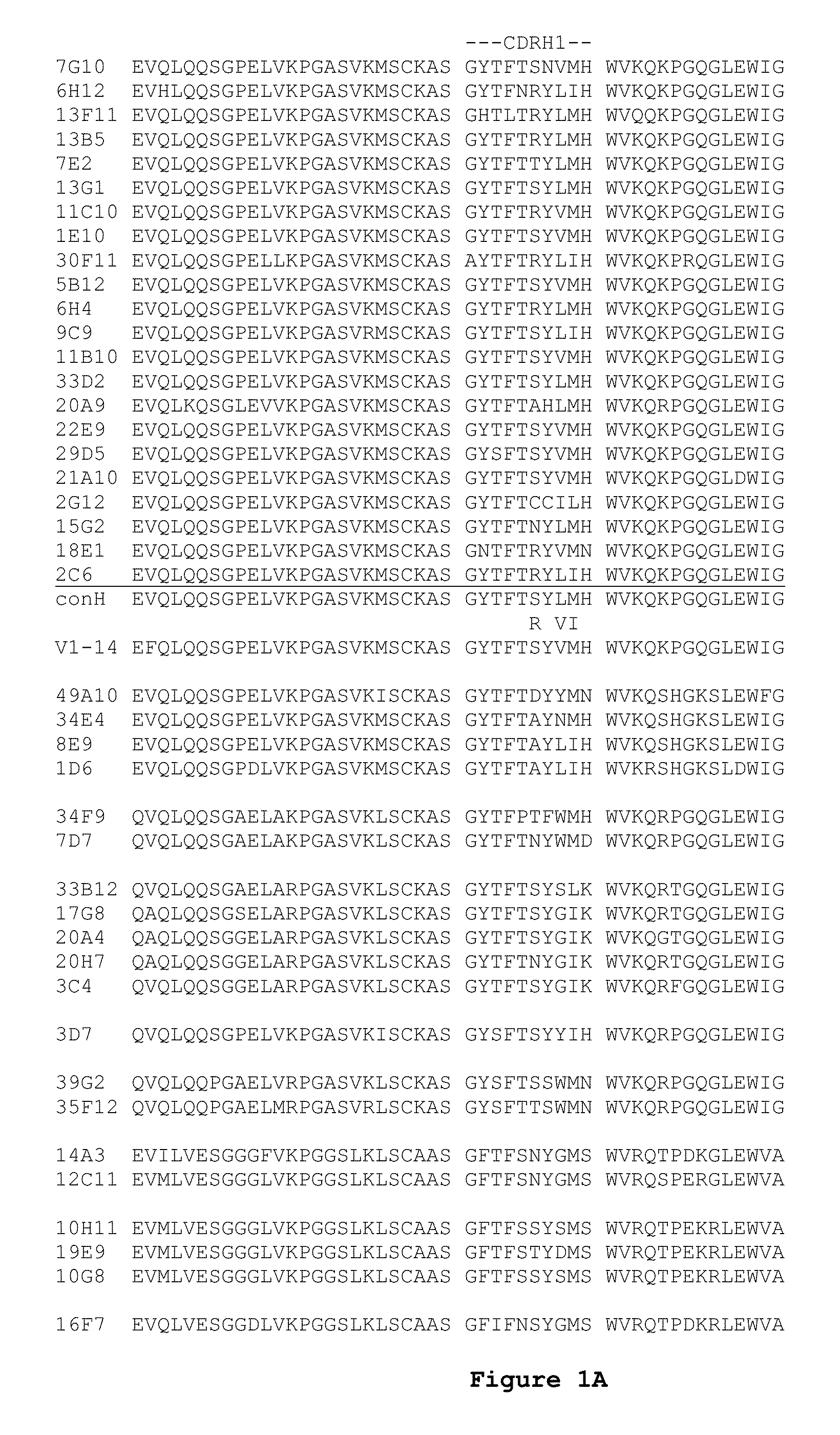 Engineered anti-IL-23p19 antibodies