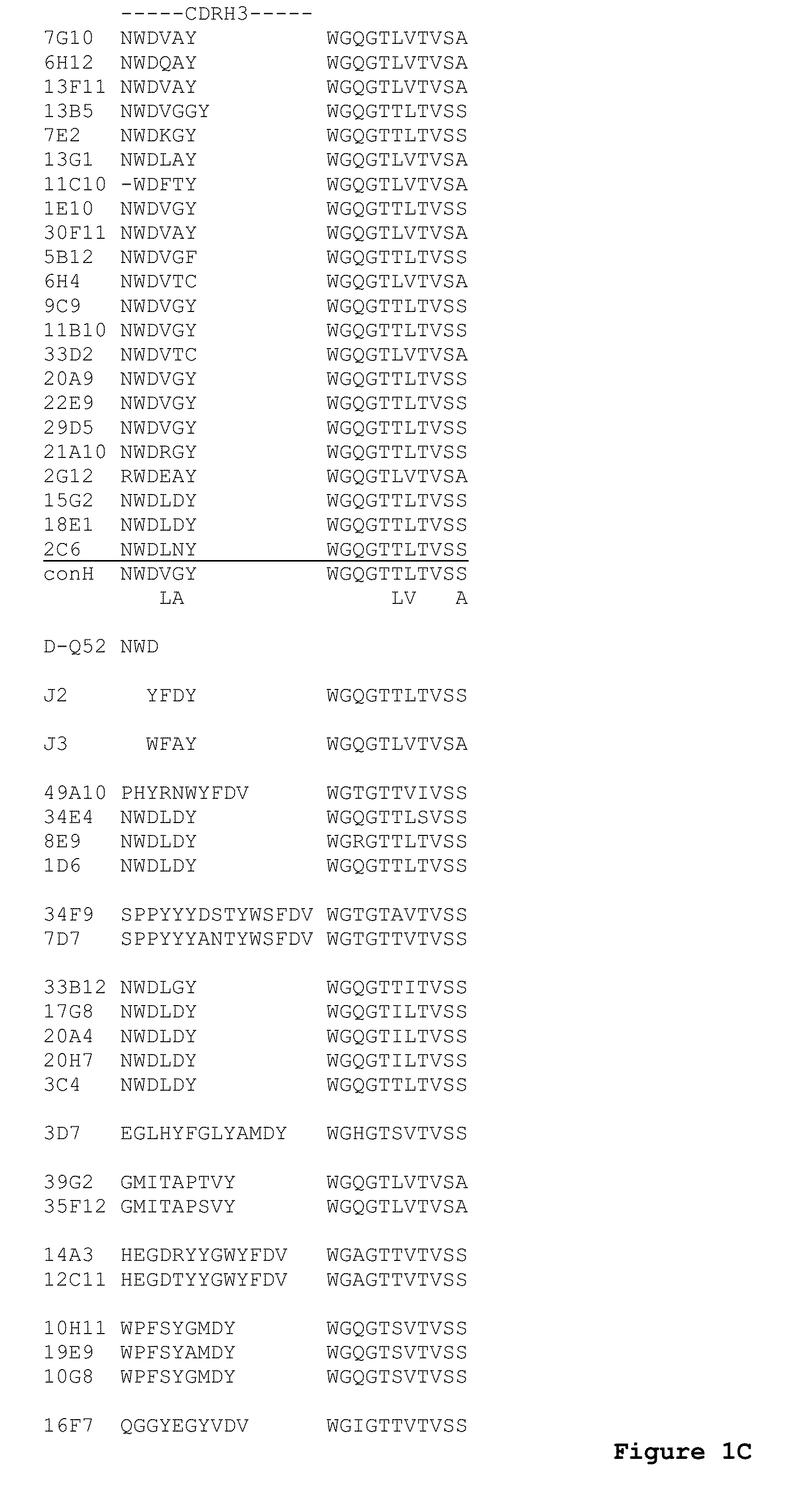 Engineered anti-IL-23p19 antibodies