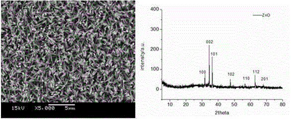 A conductive polymer polyaniline/manganese trioxide composite coating with strong adhesion and its preparation method