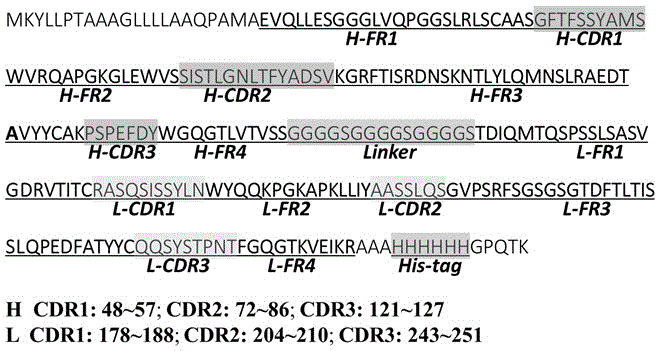 Swine-derived reshaped antibody with insecticidal activity, and preparation method and application thereof