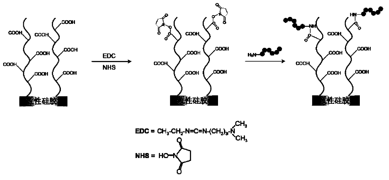 Polypeptide, detection device and detection kit containing the polypeptide