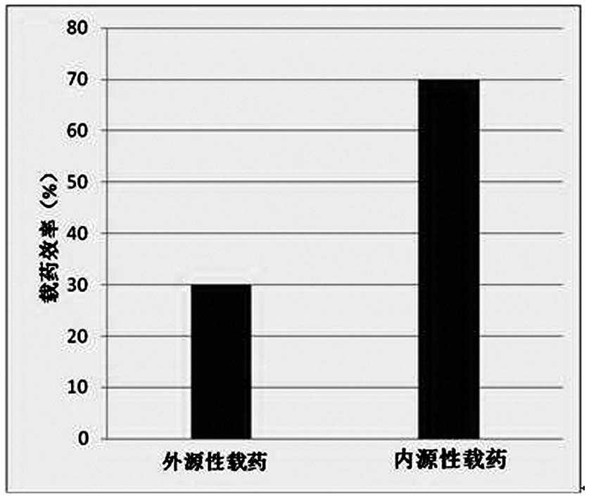 Preparation method of Escherichia coli inner membrane vesicles endogenously highly expressing miRNA and its application in the preparation of antitumor drugs