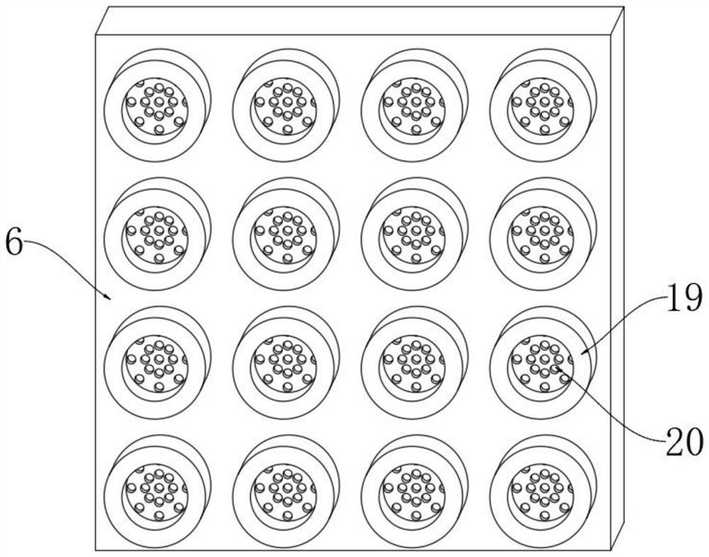 A water-saving irrigation method for planting chrysanthemums for tea