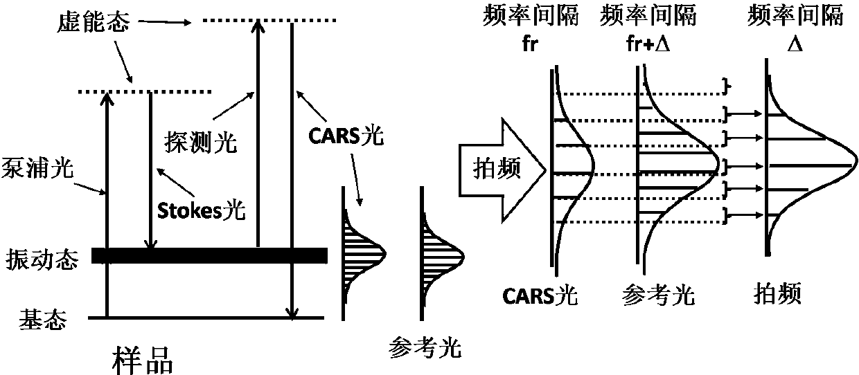 Coherent anti-stokes raman scattering optical comb spectrum detection method for improving precision