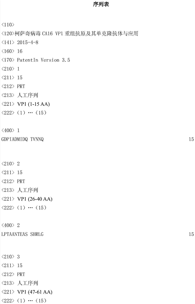 Coxsackie virus CA16 VP1 recombinant antigens, and monoclonal antibodies and application thereof