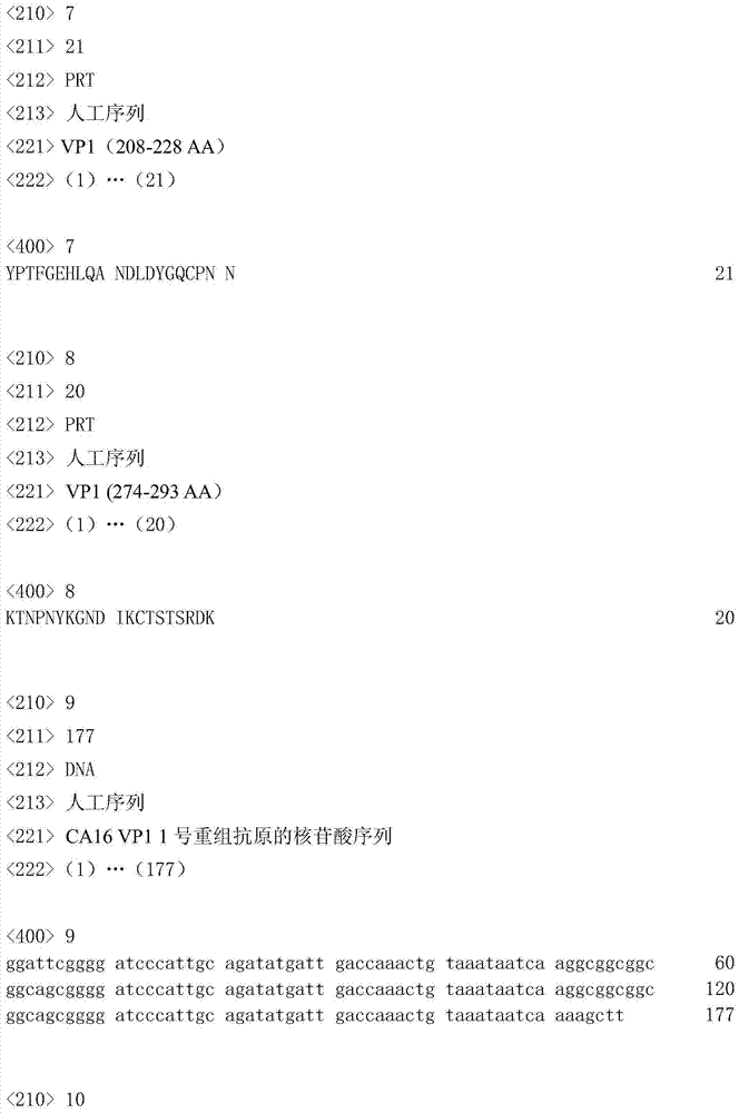 Coxsackie virus CA16 VP1 recombinant antigens, and monoclonal antibodies and application thereof