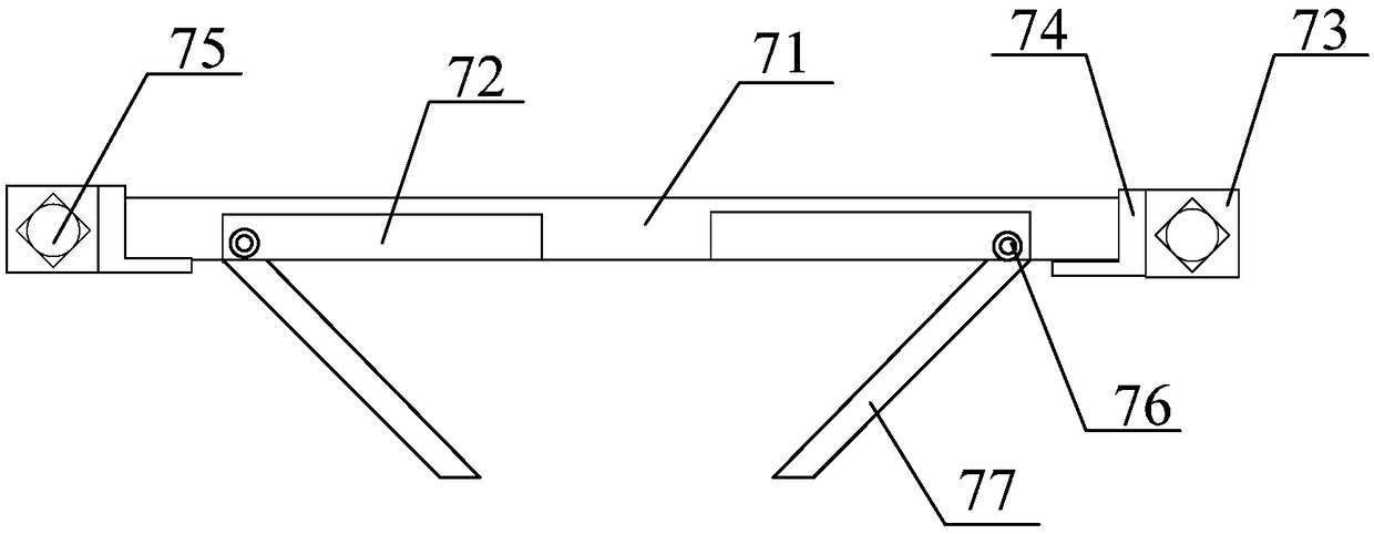 Multifunctional bullfrog breeding and feeding platform