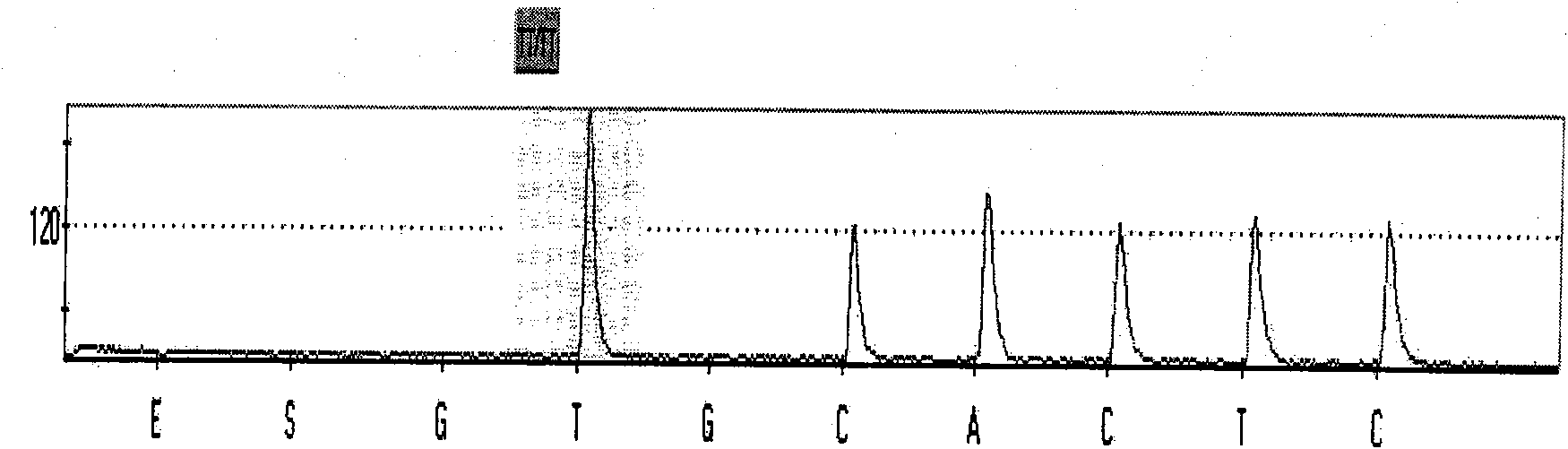 Method for fast appraising purity of cucumber hybrid seed