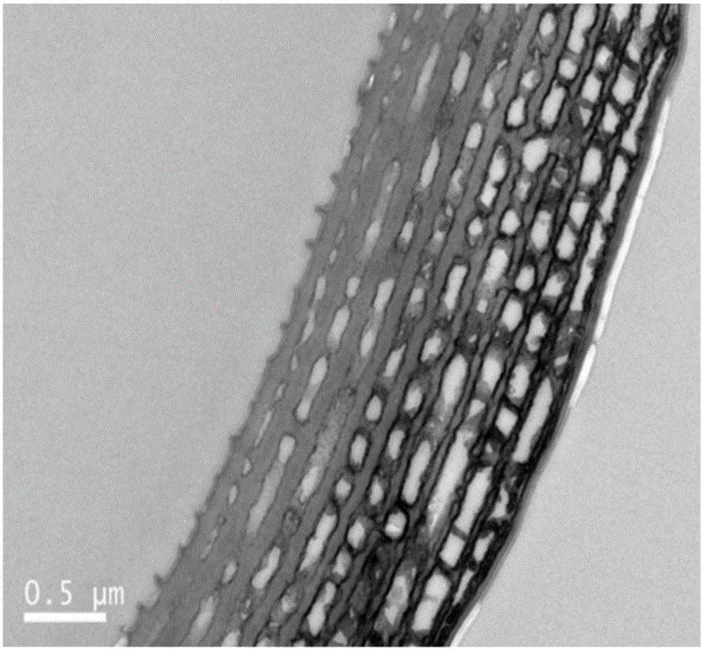 Photonic crystal material with humidity response allochroic characteristic and preparing method thereof