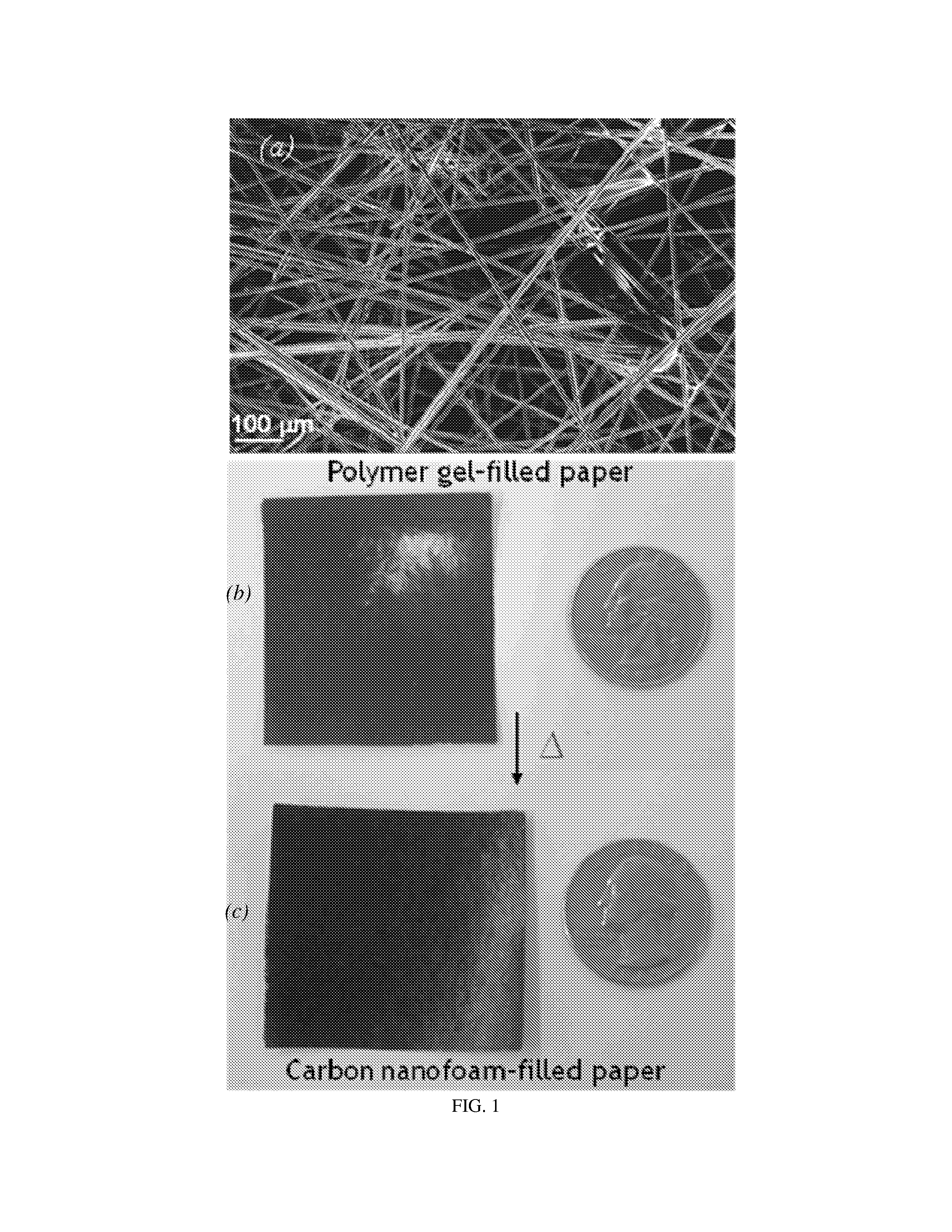 Macroporous Carbon Nanofoam Composites