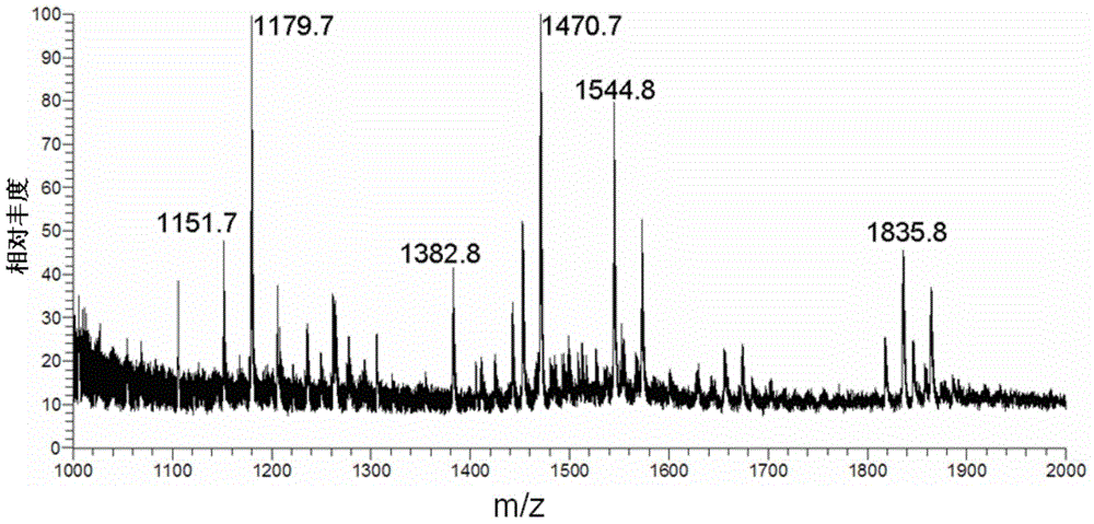 Glioma tumor marker and application thereof