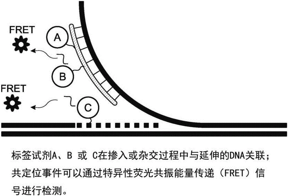 Analysis of polynucleotides