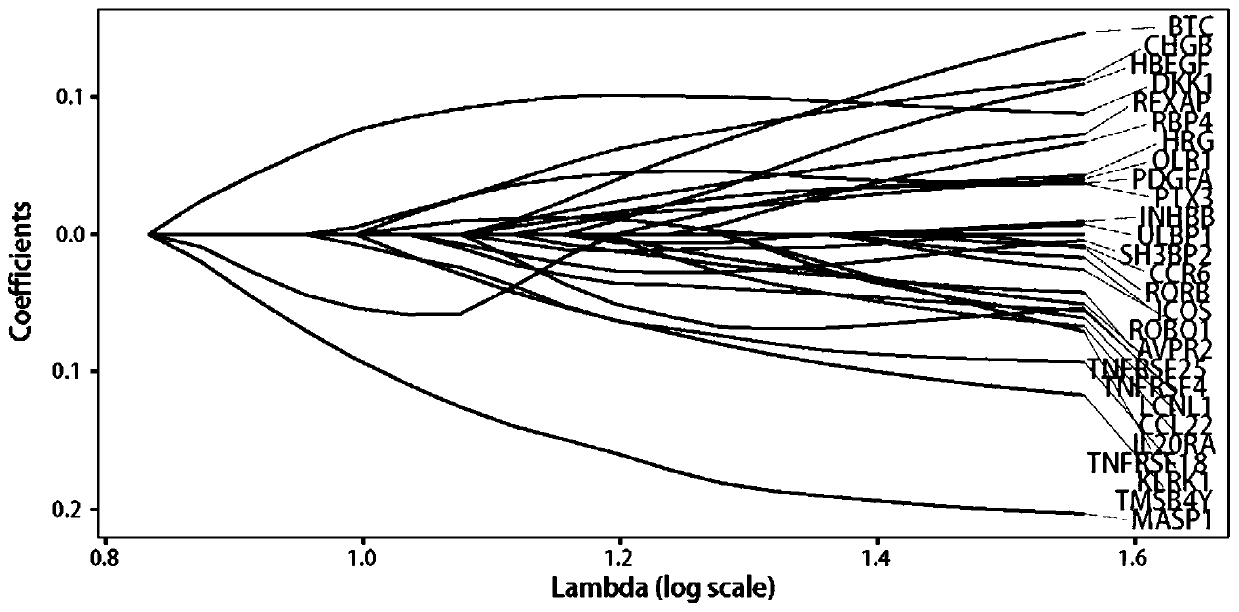 Application of reagent for detecting expression quantity of immunity related genes, reagent kit and head and neck cancer prognosis risk predicting device