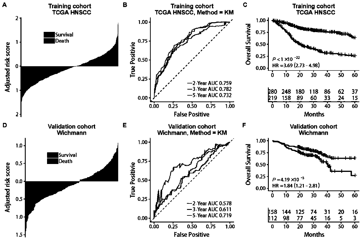 Application of reagent for detecting expression quantity of immunity related genes, reagent kit and head and neck cancer prognosis risk predicting device