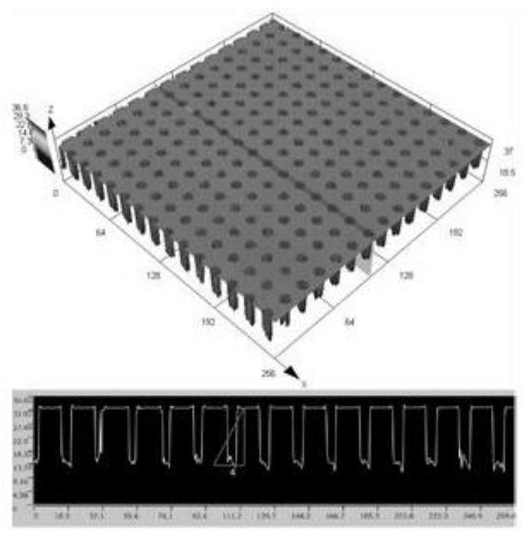 A method for preparing a hydrophilic-hydrophobic interactive distribution microstructure surface