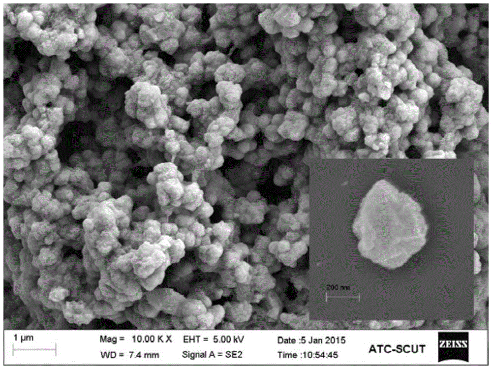 Biocompatible metal organic framework material glutamic acid-zinc as well as preparation and application thereof