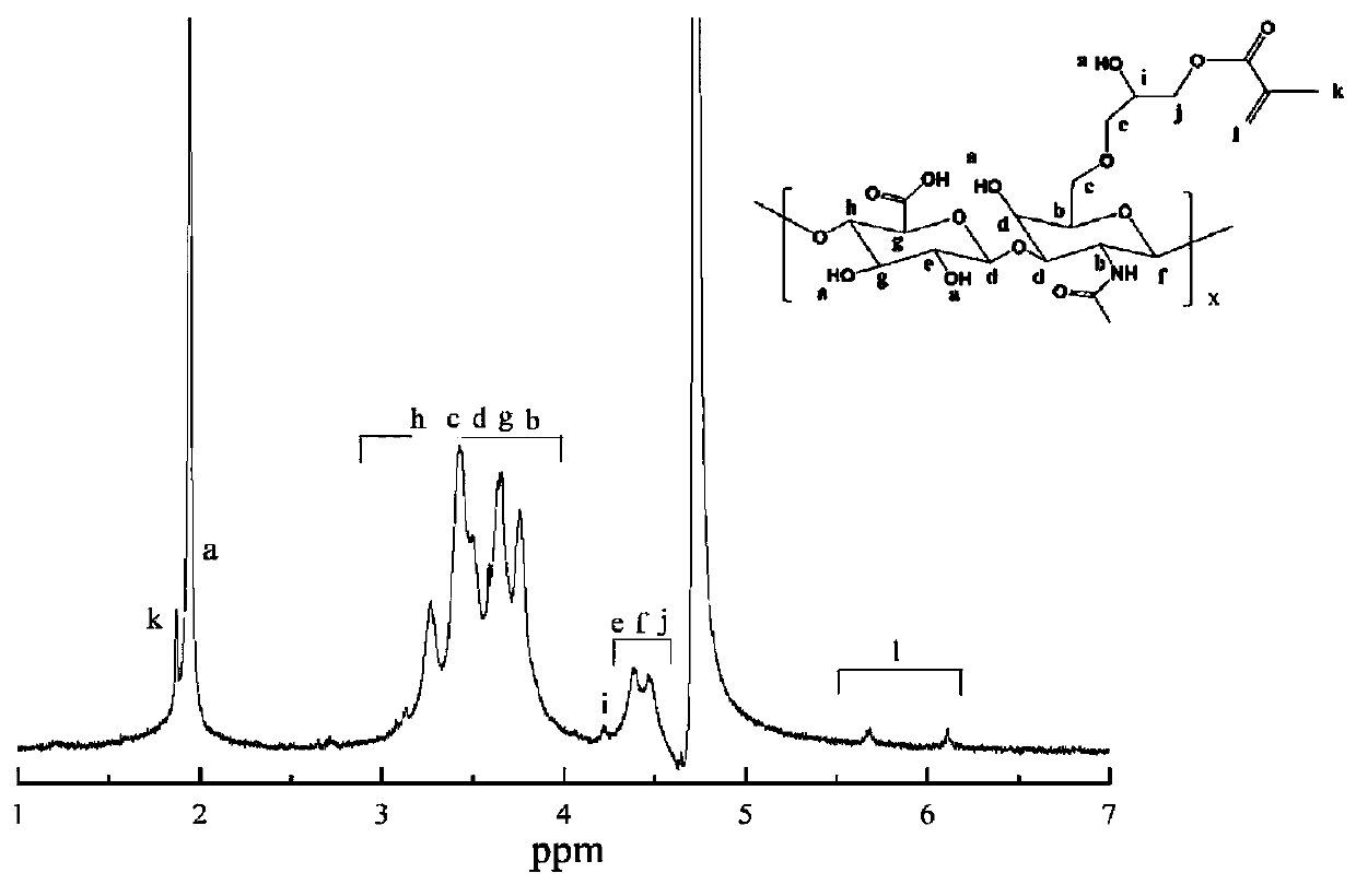 Preparation method of microgel based on shear force sensitivity and CD44 receptor targeting