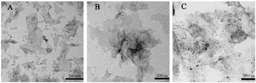 Graphene-silver antibacterial and antifouling fluorocarbon coating, and preparation method and application thereof