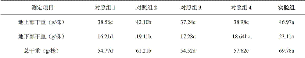 Microbial agent and bio-organic fertilizer special for winter jujube and preparation methods thereof