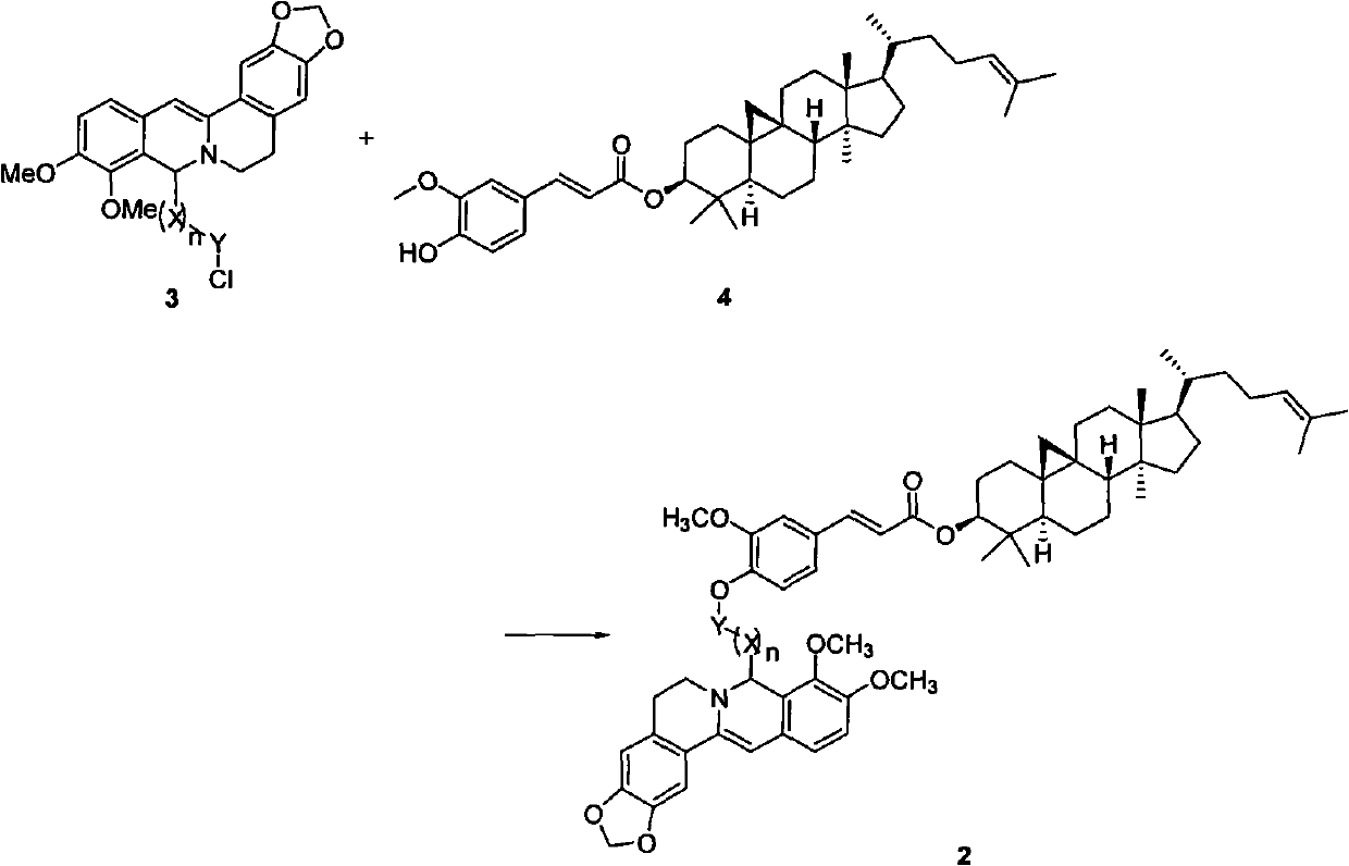 Berberine and its derivatives and synthetic method