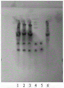 Quality control method of drug for nourishing blood and quieting spirit